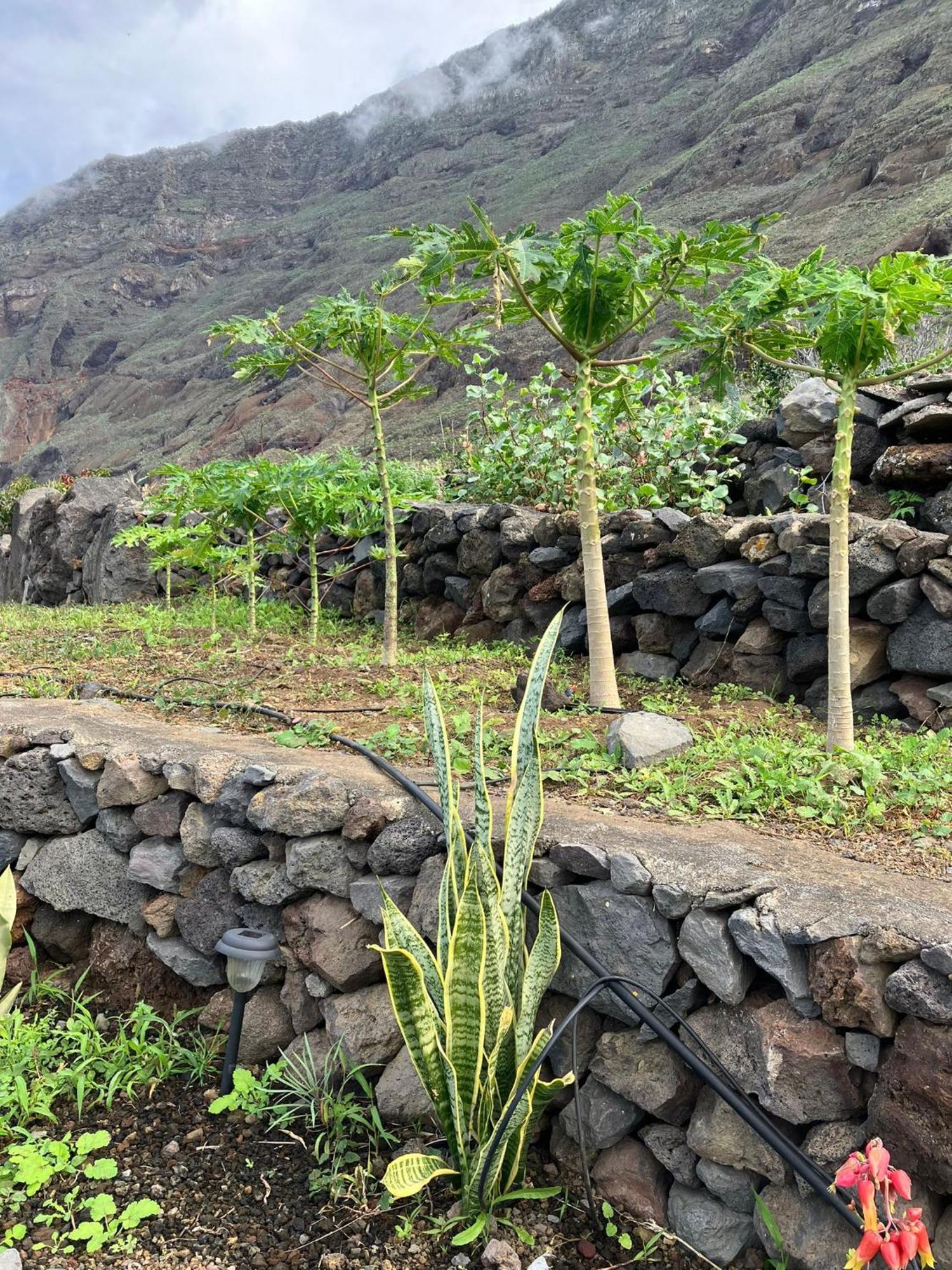 Casa Nela. Rural Y Acogedora En Las Puntas El Hierro Φροντέρα Εξωτερικό φωτογραφία